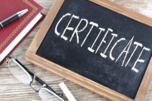 Earn Professional Certificate From Google