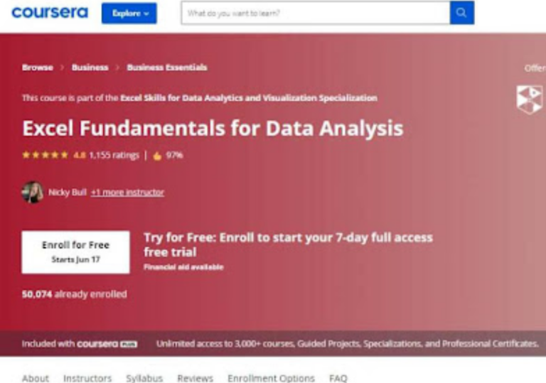 excel-fundamentals-for-data-analysis-courses-vision